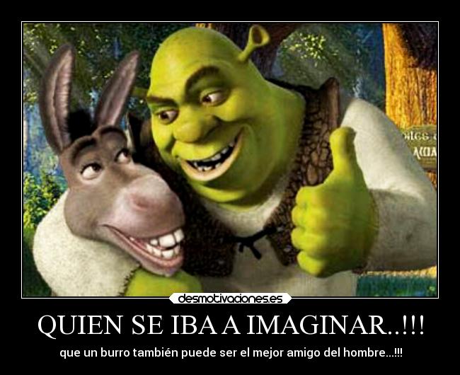 QUIEN SE IBA A IMAGINAR..!!! - que un burro también puede ser el mejor amigo del hombre...!!!