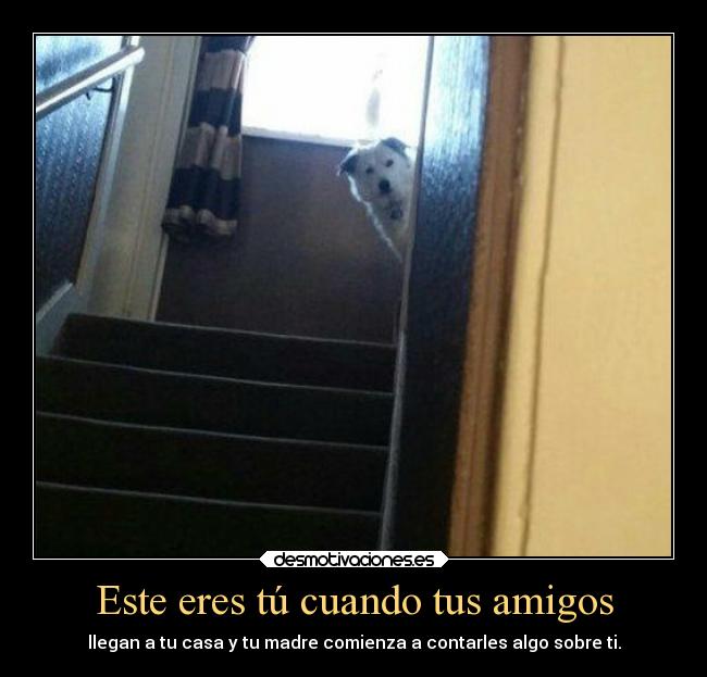 carteles amigos humor madre graciosas amigos rilacs desmotivaciones