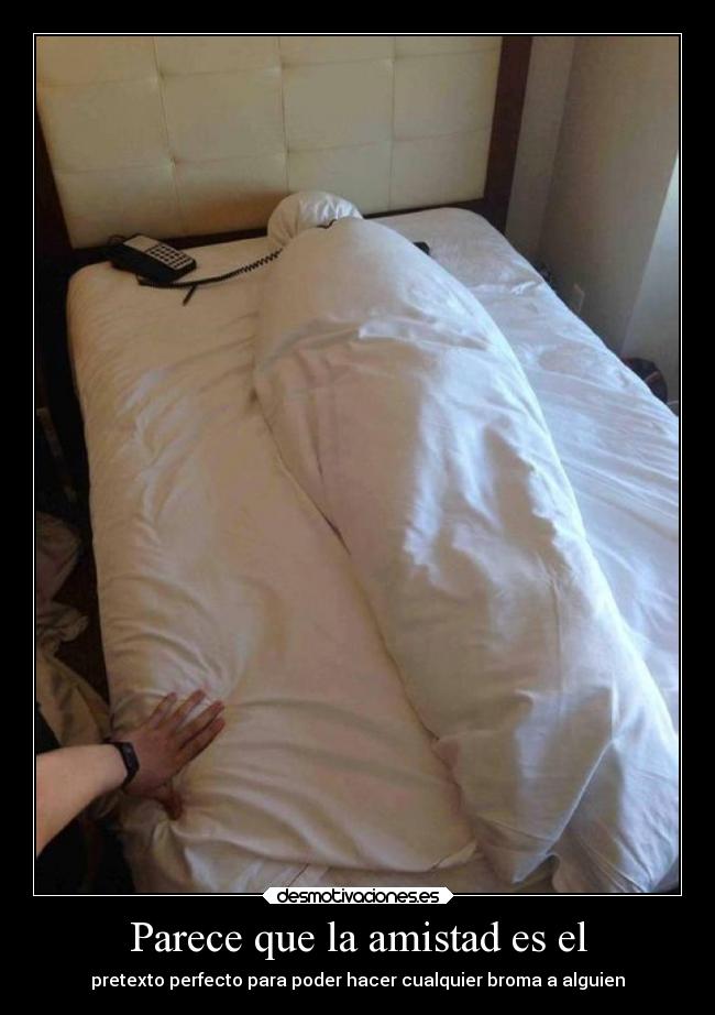 carteles amistad bogota desmotivaciones