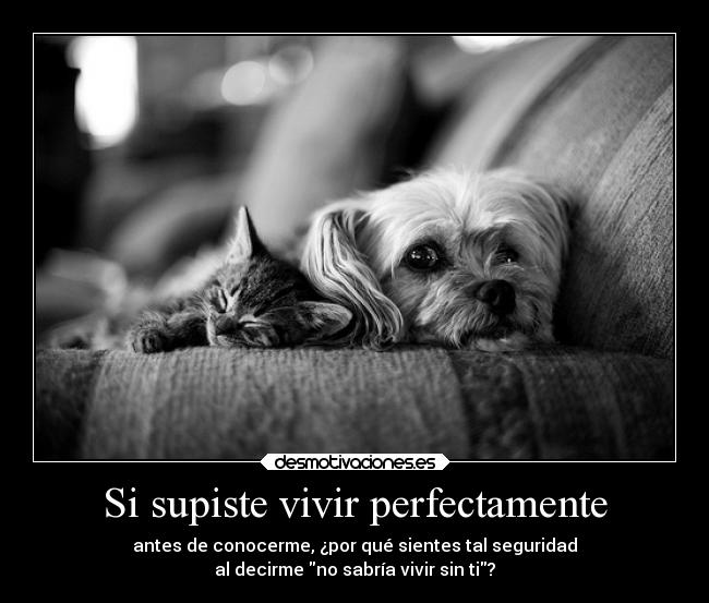 Si supiste vivir perfectamente - 
