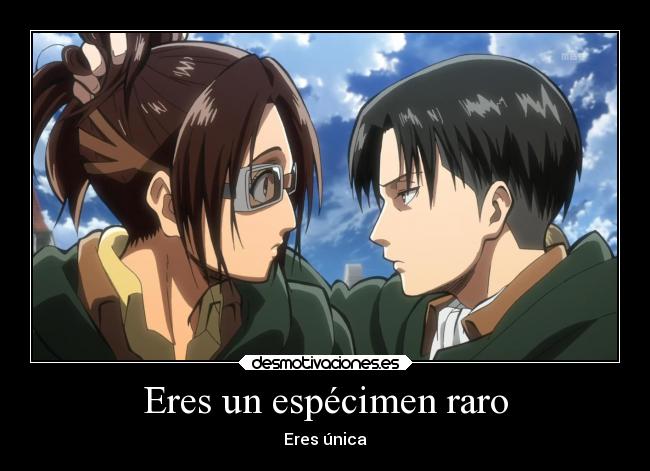 Eres un espécimen raro -