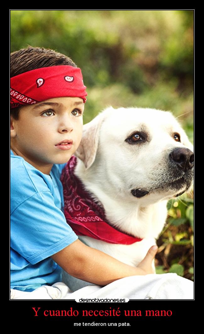 Y cuando necesité una mano - me tendieron una pata.