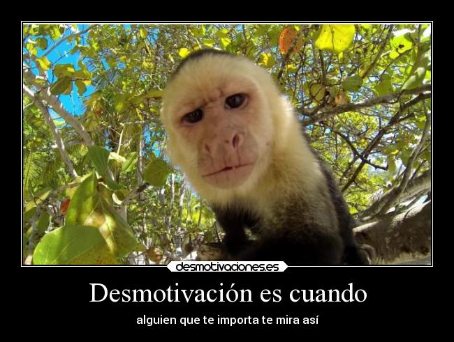 Desmotivación es cuando - alguien que te importa te mira así
