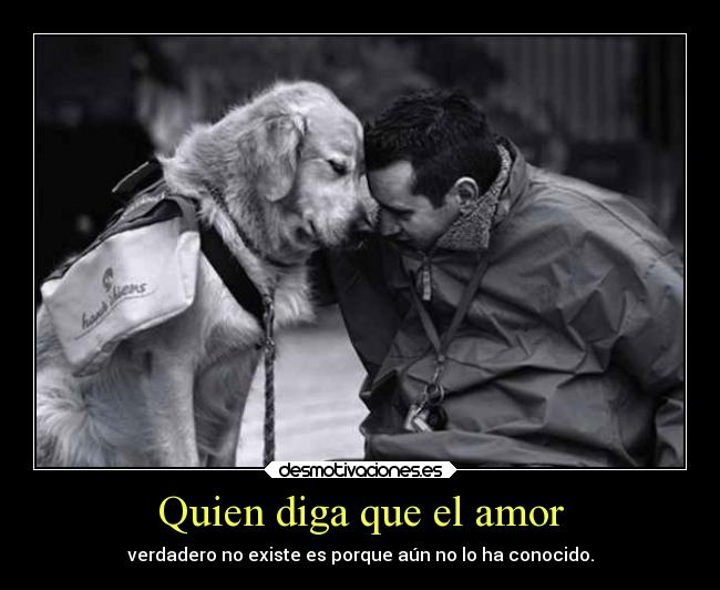 Quien diga que el amor - 