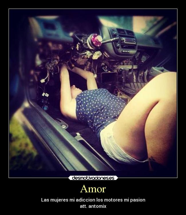 Amor -