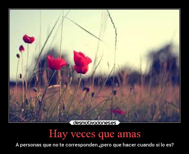 Hay veces que amas - 