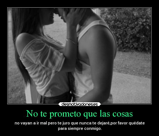 No te prometo que las cosas - 