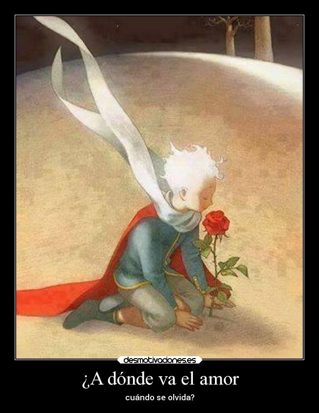 ¿A dónde va el amor -