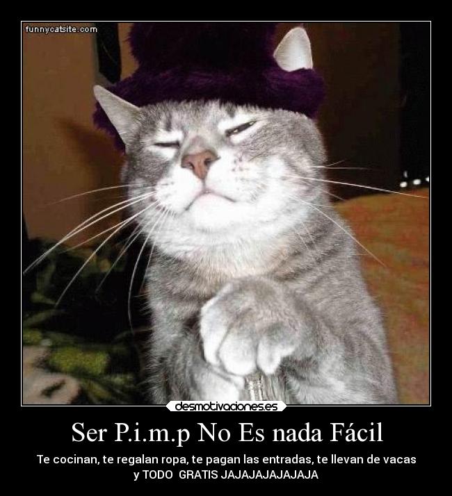 Ser P.i.m.p No Es nada Fácil - Te cocinan, te regalan ropa, te pagan las entradas, te llevan de vacas
y TODO GRATIS JAJAJAJAJAJAJA