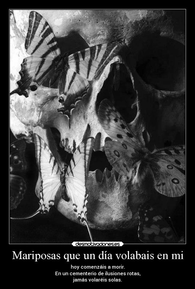 Mariposas que un día volabais en mi - hoy comenzáis a morir.
En un cementerio de ilusiones rotas,
jamás volaréis solas.