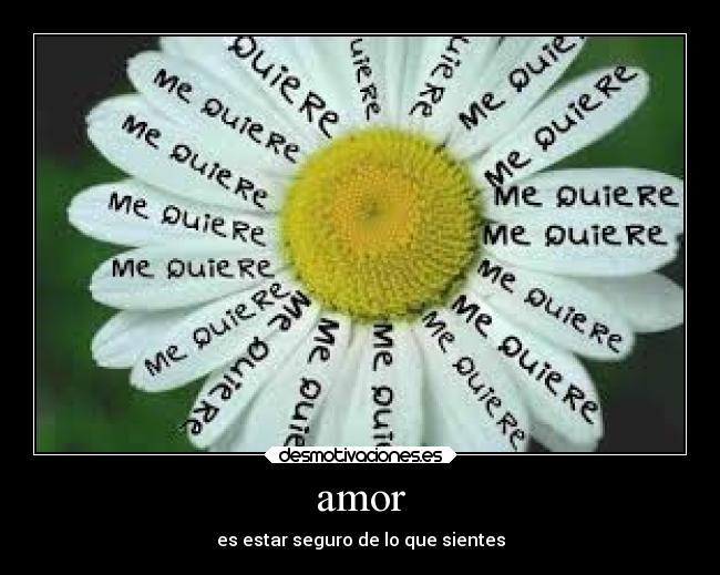 amor -