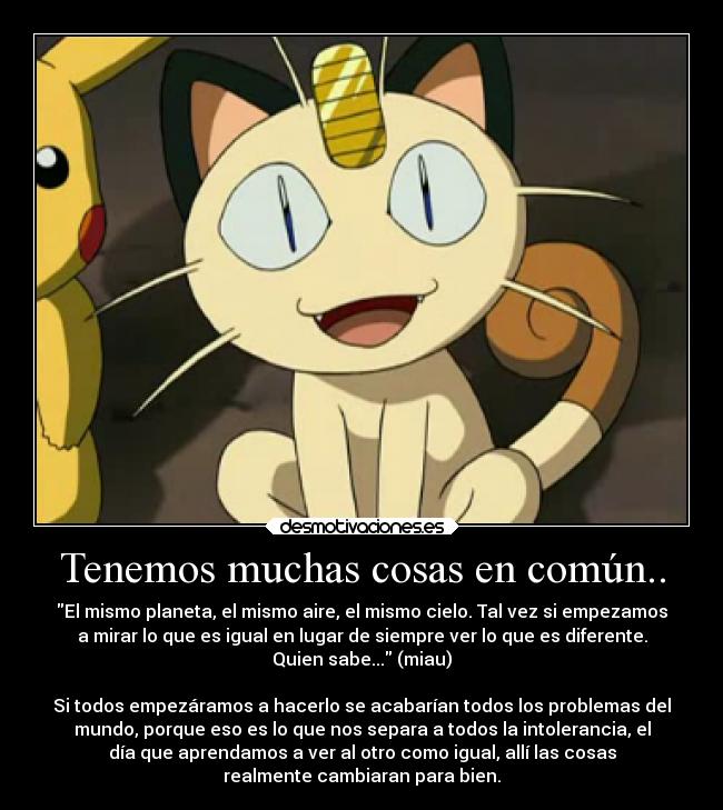 Tenemos muchas cosas en común.. - El mismo planeta, el mismo aire, el mismo cielo. Tal vez si empezamos
a mirar lo que es igual en lugar de siempre ver lo que es diferente.
Quien sabe... (miau)
Si todos empezáramos a hacerlo se acabarían todos los problemas del
mundo, porque eso es lo que nos separa a todos la intolerancia, el
día que aprendamos a ver al otro como igual, allí las cosas
realmente cambiaran para bien.