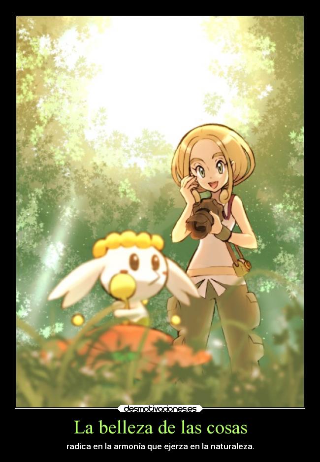 carteles amor naturaleza anime pokemon desmotivaciones flabebe viola belleza armonia ejercer radicar desmotivaciones