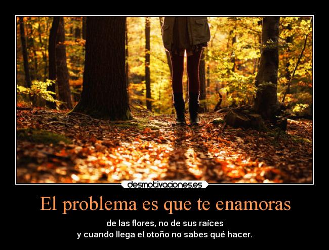 El problema es que te enamoras - de las flores, no de sus raíces
y cuando llega el otoño no sabes qué hacer.