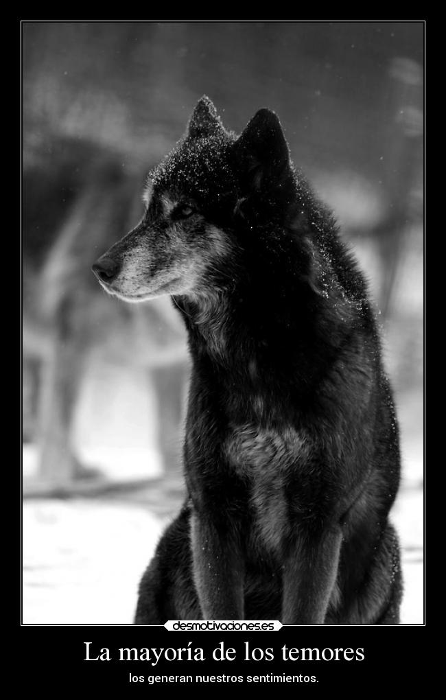 La mayoría de los temores - los generan nuestros sentimientos.