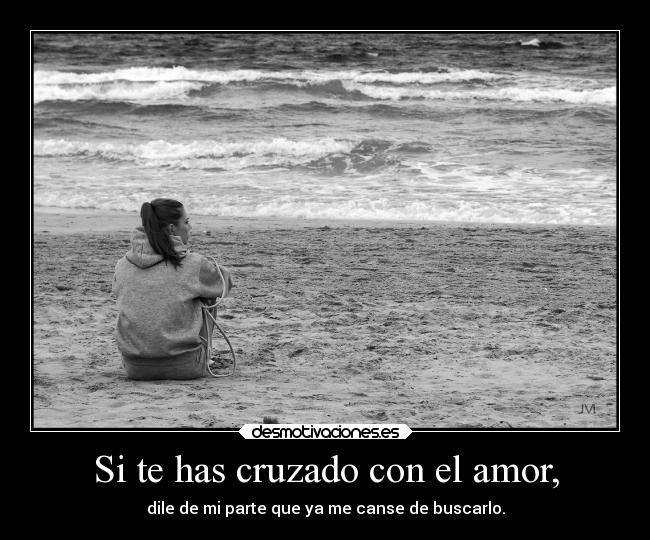 Si te has cruzado con el amor, -