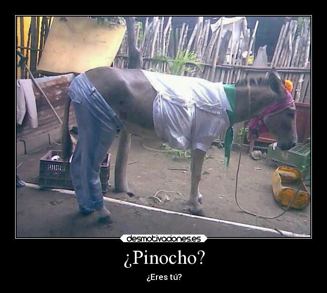 ¿Pinocho? -