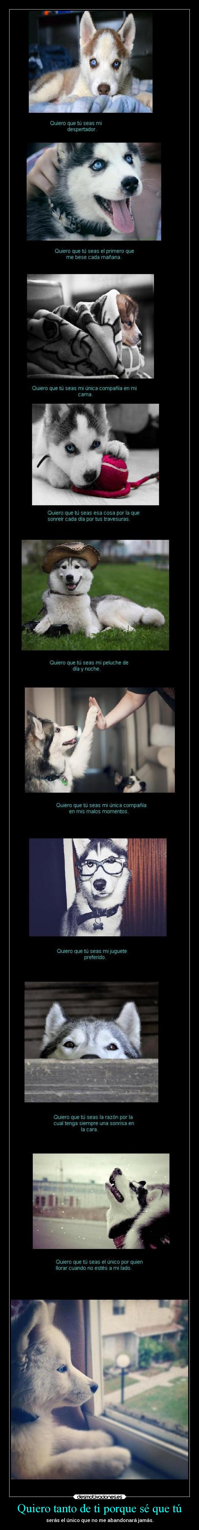 Quiero tanto de ti porque sé que tú -