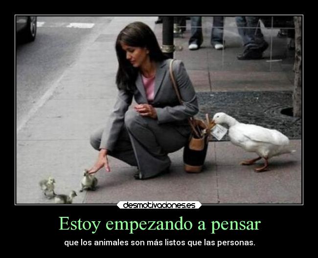 Estoy empezando a pensar - que los animales son más listos que las personas.