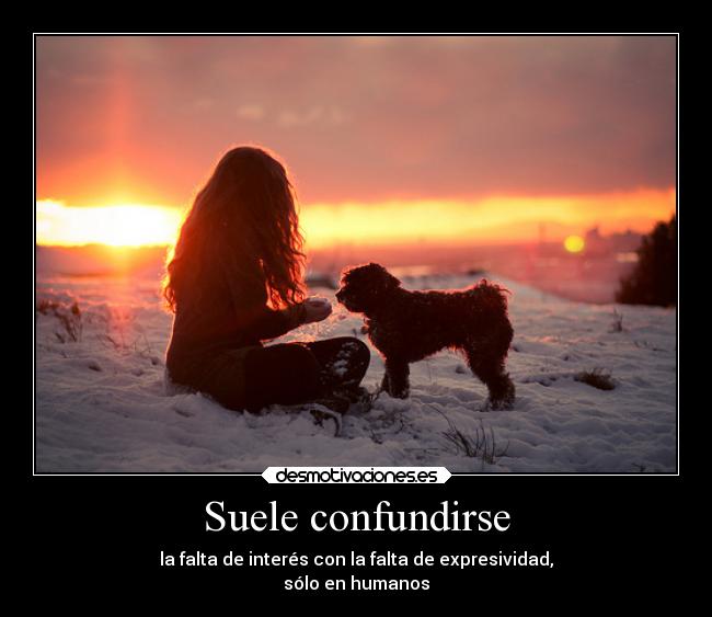 Suele confundirse - la falta de interés con la falta de expresividad,
sólo en humanos