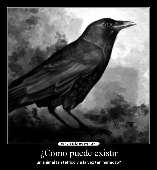 ¿Como puede existir -