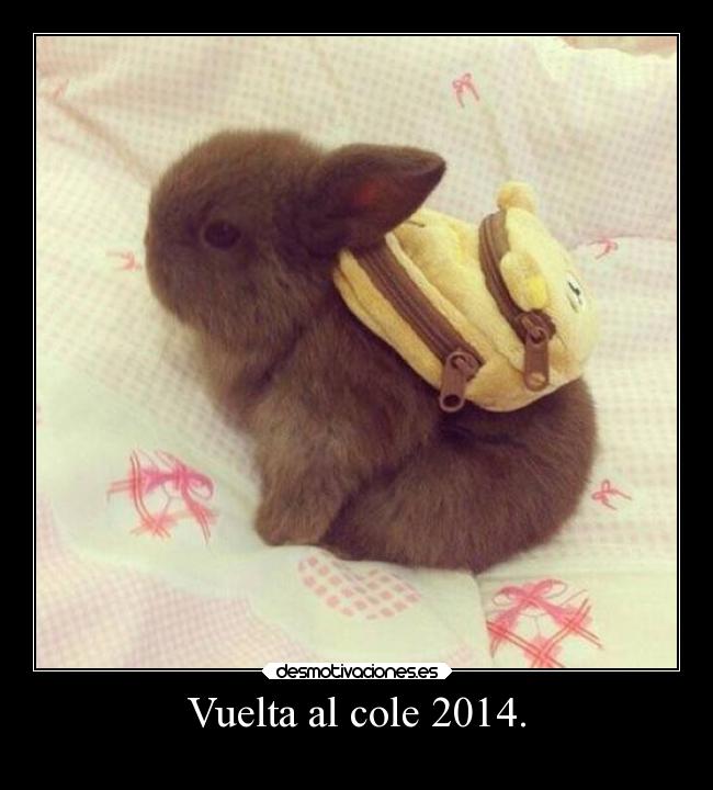 Vuelta al cole 2014. -