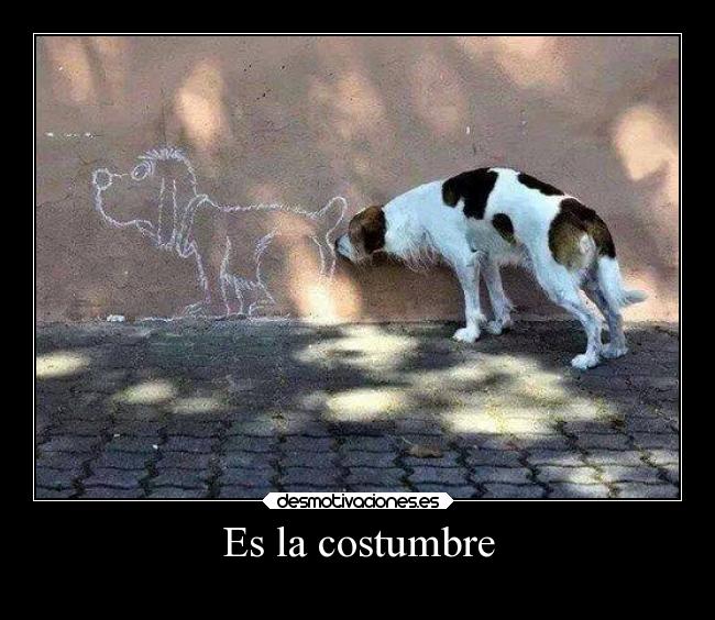 Es la costumbre -