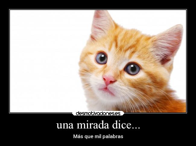 una mirada dice... - 