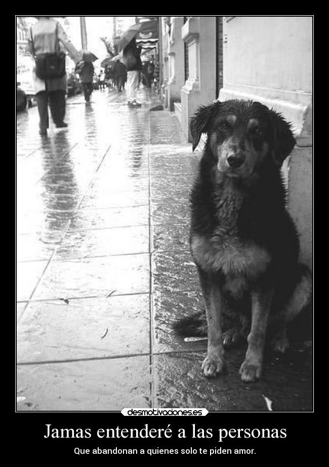 Jamas entenderé a las personas -