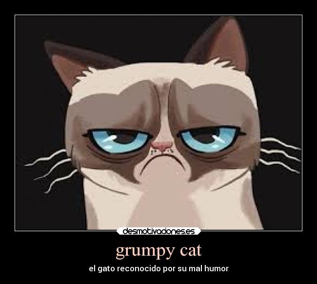 grumpy cat - el gato reconocido por su mal humor