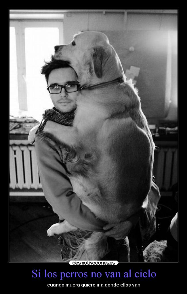 Si los perros no van al cielo - 