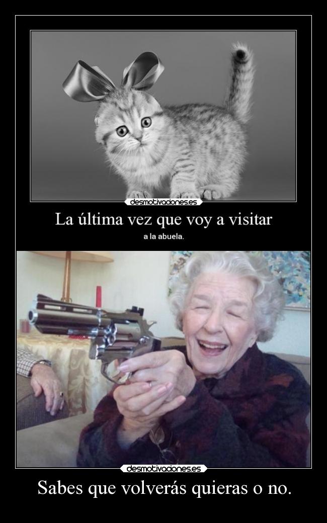 carteles animales directionerloveforever marcotequiero gatitomonoso desmotivaciones