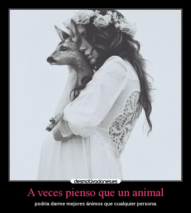 A veces pienso que un animal - podría darme mejores ánimos que cualquier persona.