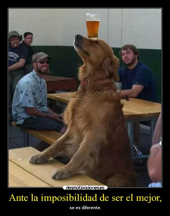 Ante la imposibilidad de ser el mejor, - 