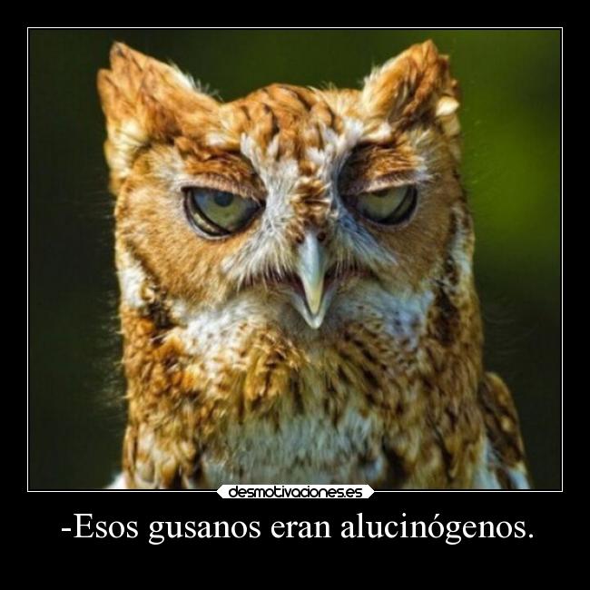 carteles animales humor breathebreathe desmotivaciones