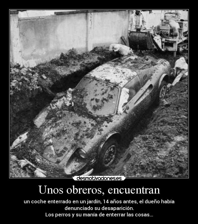 carteles animales humor perros obreros coches enterrados desmotivaciones