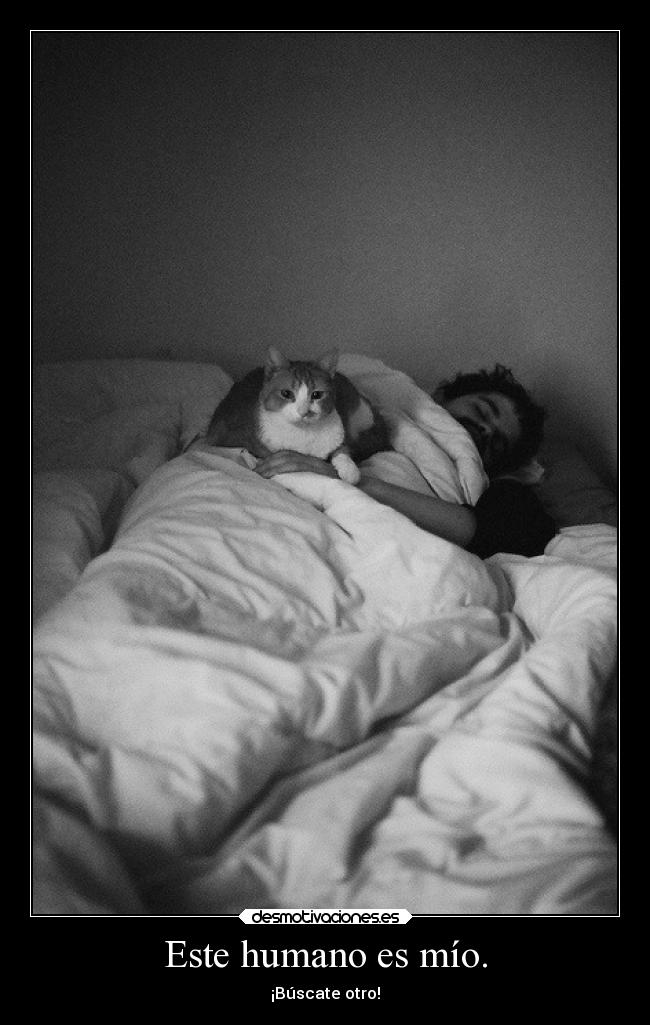 Este humano es mío. -