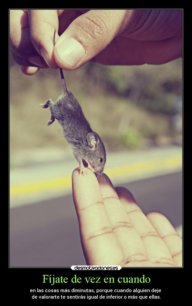 Fíjate de vez en cuando -