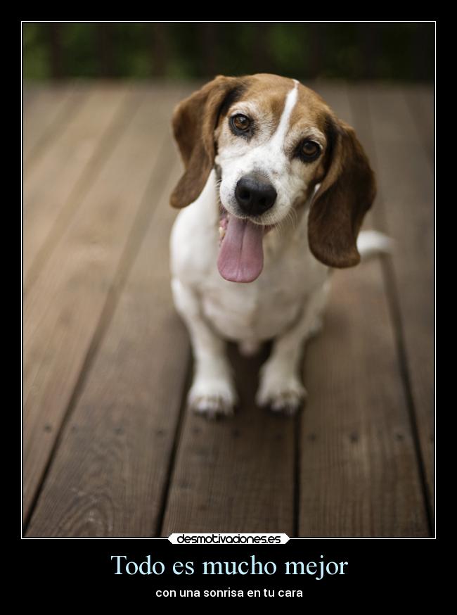 Todo es mucho mejor - con una sonrisa en tu cara