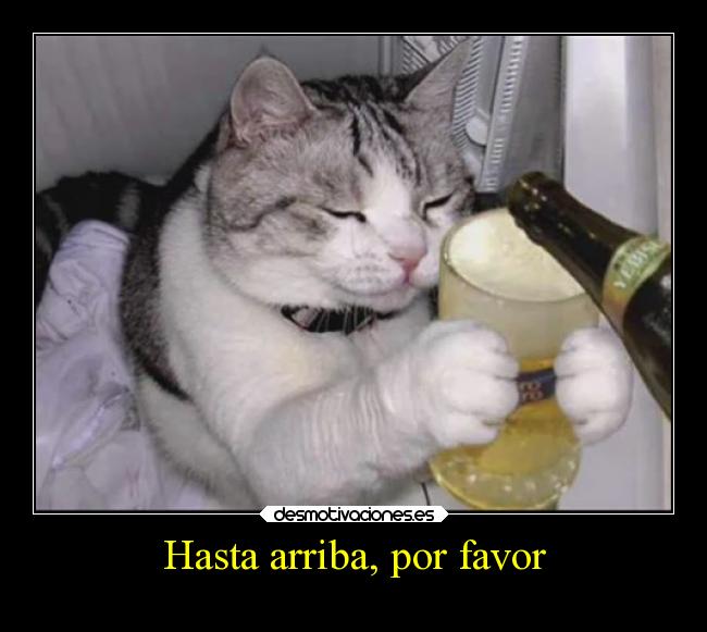 Hasta arriba, por favor - 