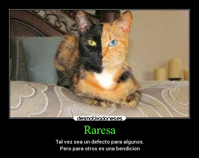 Raresa - Tal vez sea un defecto para algunos.
Pero para otros es una bendicion