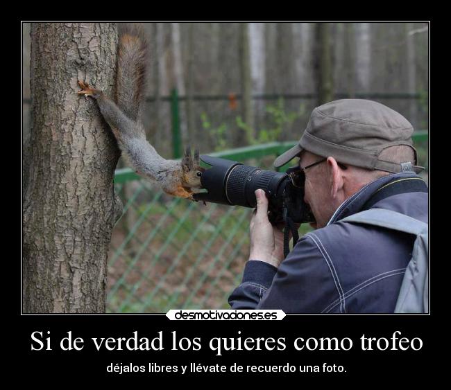 Si de verdad los quieres como trofeo - déjalos libres y llévate de recuerdo una foto.