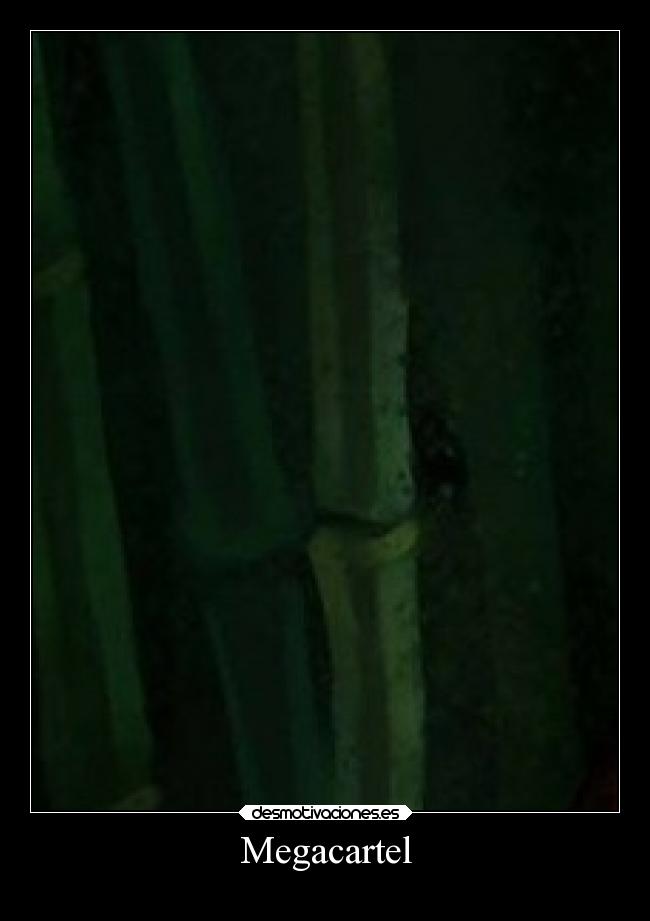 Megacartel - 