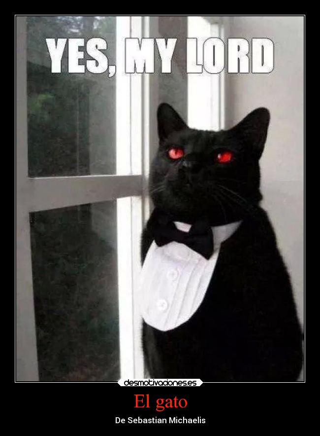 El gato - De Sebastian Michaelis