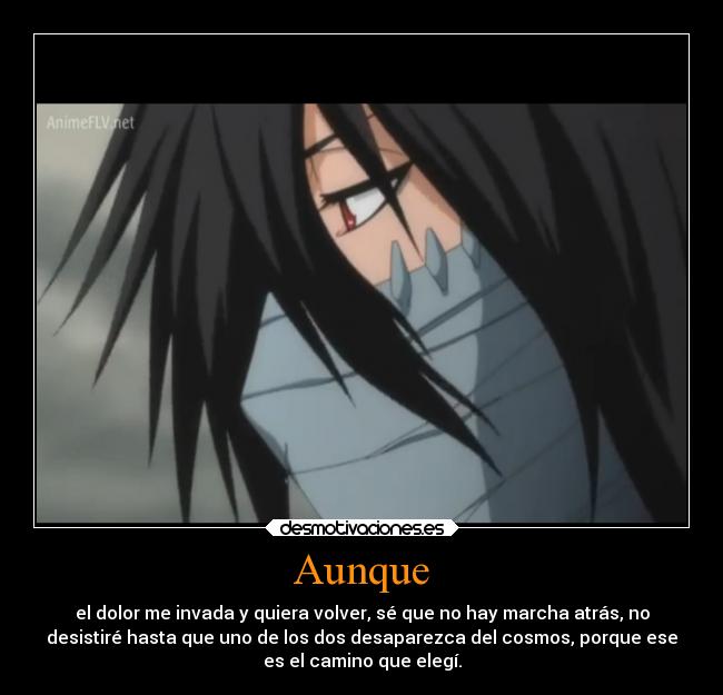 Aunque - el dolor me invada y quiera volver, sé que no hay marcha atrás, no
desistiré hasta que uno de los dos desaparezca del cosmos, porque ese
es el camino que elegí.