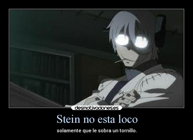 Stein no esta loco -