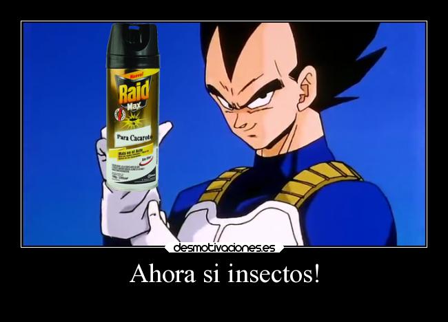 Ahora si insectos! - 