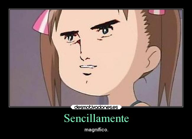 Sencillamente - magnífico.