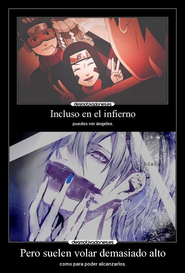 Pero suelen volar demasiado alto -