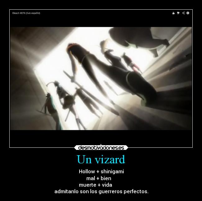 Un vizard - Hollow + shinigami
mal + bien
muerte + vida
admítanlo son los guerreros perfectos.